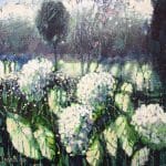 Hortensja | Halina Nowicka