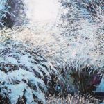 Zima | Tomasz Klimczyk