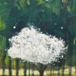 Dzika śliwka | Jacek Frąckiewicz