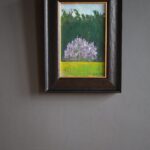 Dziki bez | Jacek Frąckiewicz