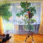 Oczekiwanie | Tomasz Krawczyk