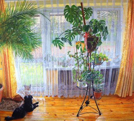 Oczekiwanie | Tomasz Krawczyk