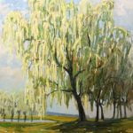 Wierzba | Krzysztof Nowak