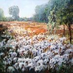 Osty | Krzysztof Nowak