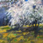 Mleczna droga | Halina Nowicka