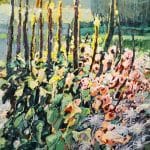 Dziewanny u Agaty | Krzysztof Nowak