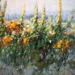 Dziewanny i dziurawiec | Krzysztof Nowak