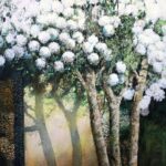 Kalina | Halina Nowicka