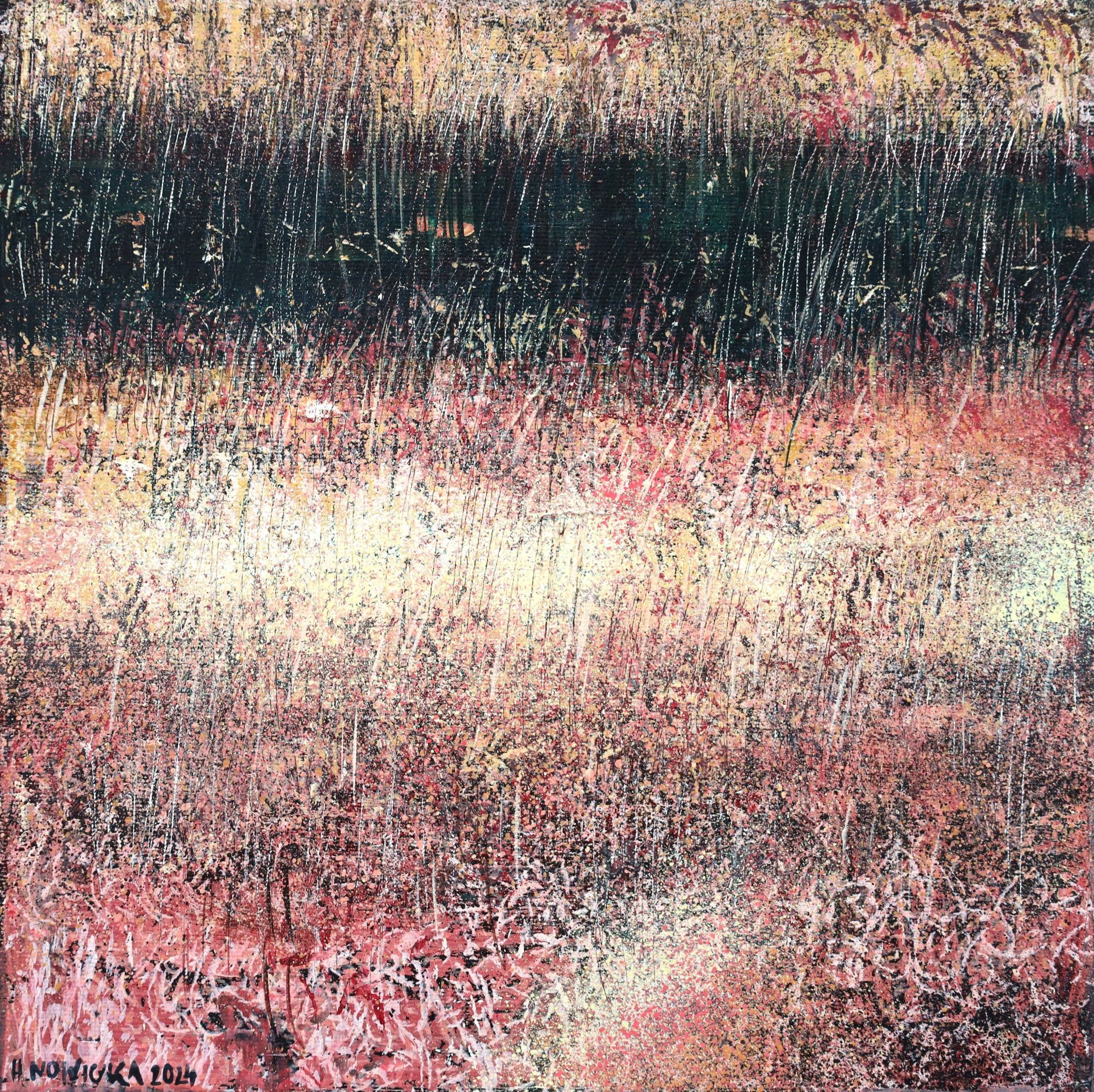 Płonny Halina Nowicka Płonny | Halina Nowicka - obrazek 1