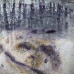 Woda z lodem | Halina Nowicka