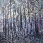 Korony i koronki | Krzysztof Nowak