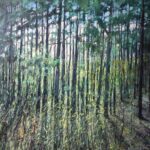 Prześwietllas | Krzysztof Nowak