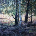 W cieniu sosen | Krzysztof Nowak